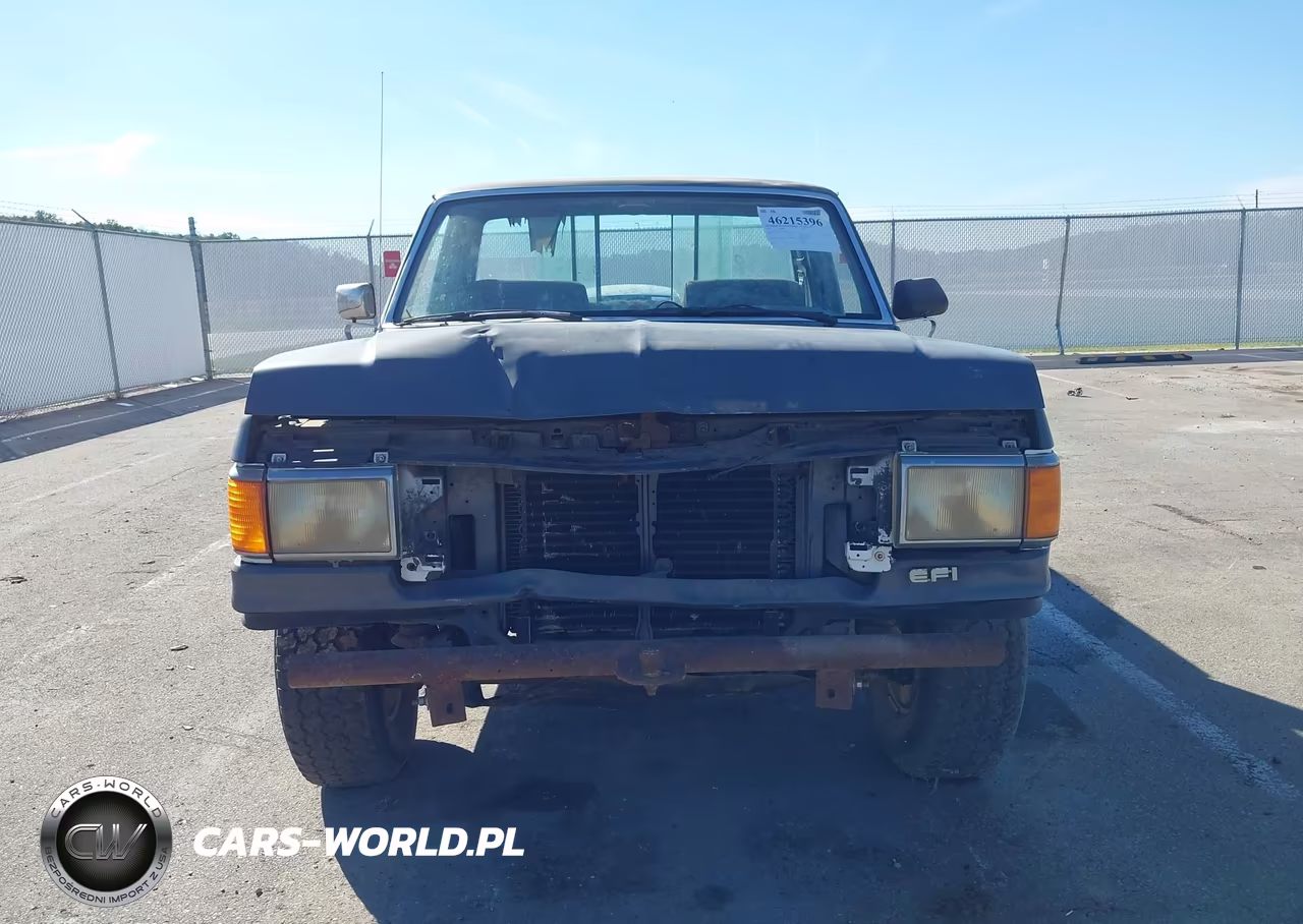 1991 Ford F150 VIN:1FTDF15Y7MNA79972 - 6