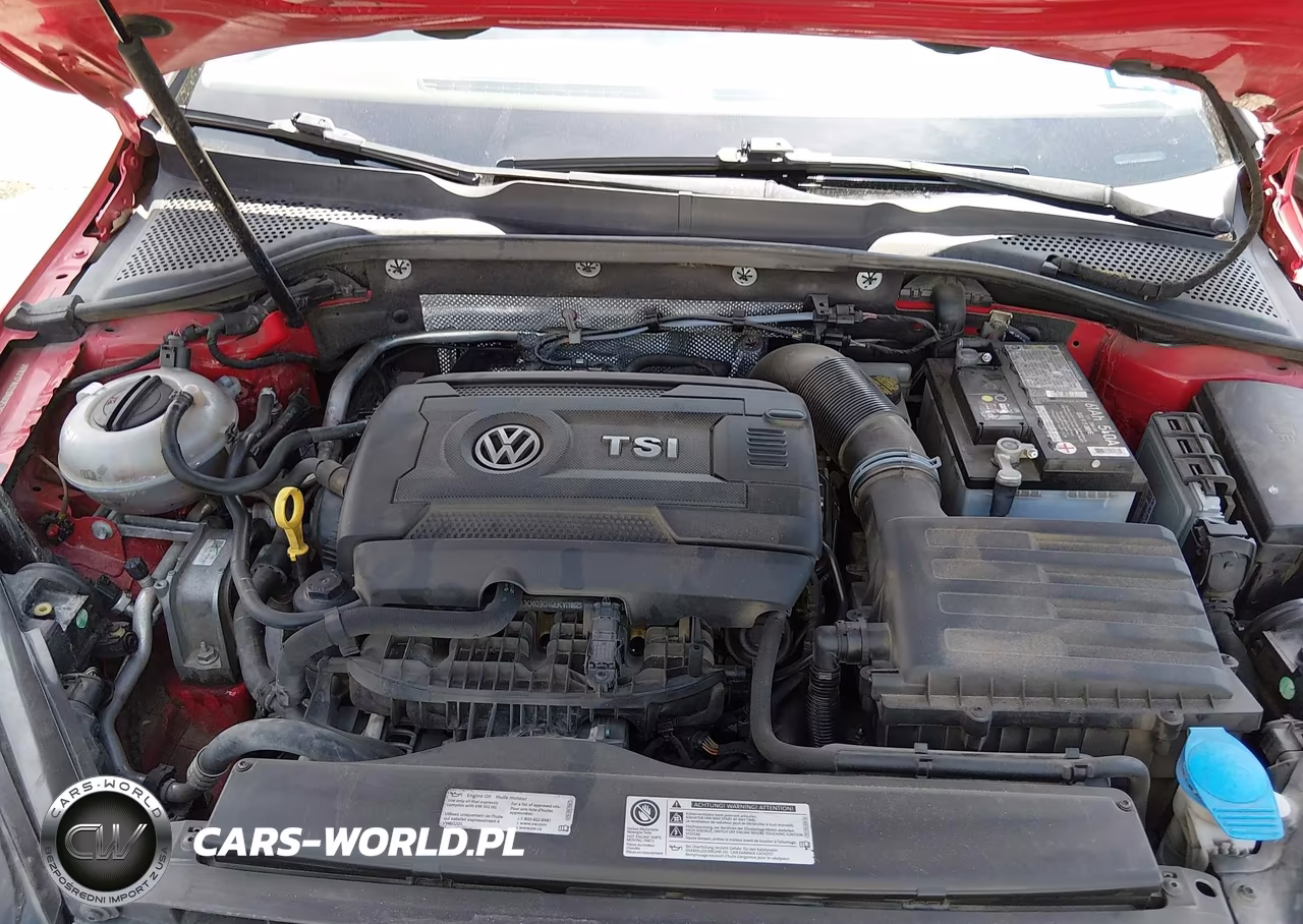 2016 Volkswagen Golf Tsi S 4-Door-Tsi Se 4-Door-Tsi Sel 4-Door VIN:3VW217AU2GM035255 - 10