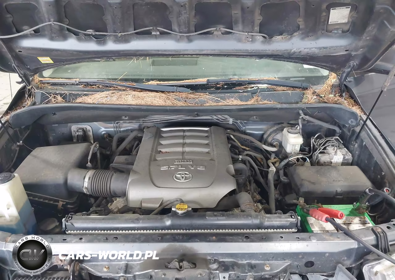 2010 Toyota Tundra Grade 5.7L V8 VIN:5TFMY5F15AX117055 - 10