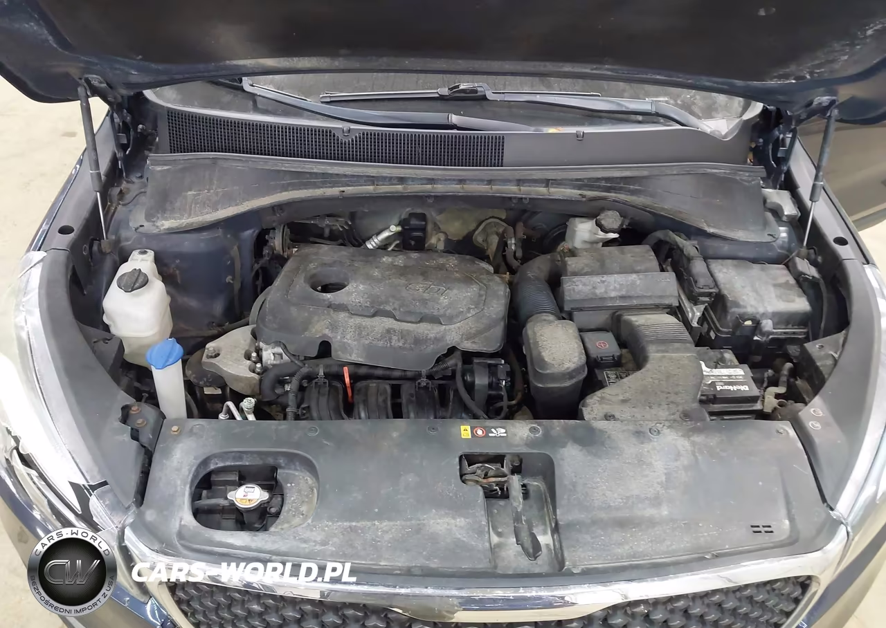 2016 Kia Sorento 2.4L Lx VIN:5XYPGDA32GG063728 - 10