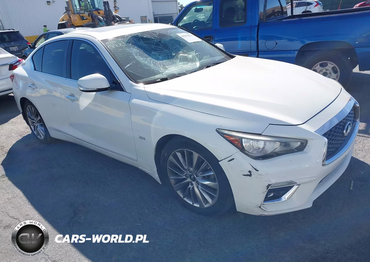 2019 Infiniti Q50 Luxe VIN:JN1EV7AP4KM511317 - 1