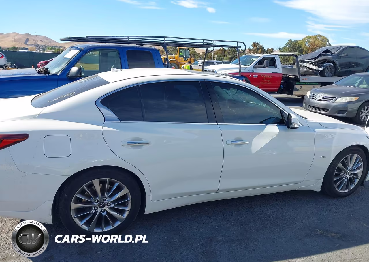 2019 Infiniti Q50 Luxe VIN:JN1EV7AP4KM511317 - 13