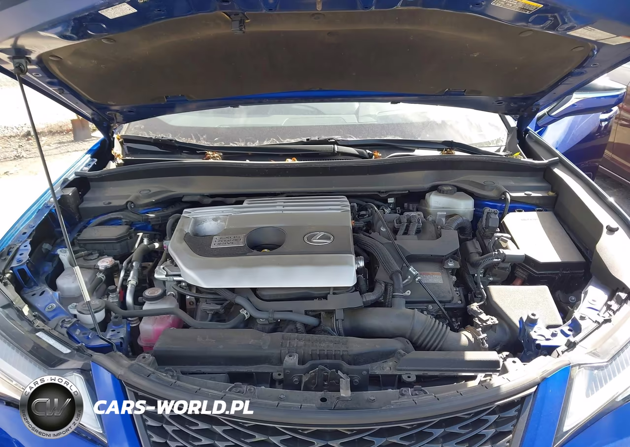 2021 Lexus Ux 250H F Sport VIN:JTHR9JBHXM2052623 - 10