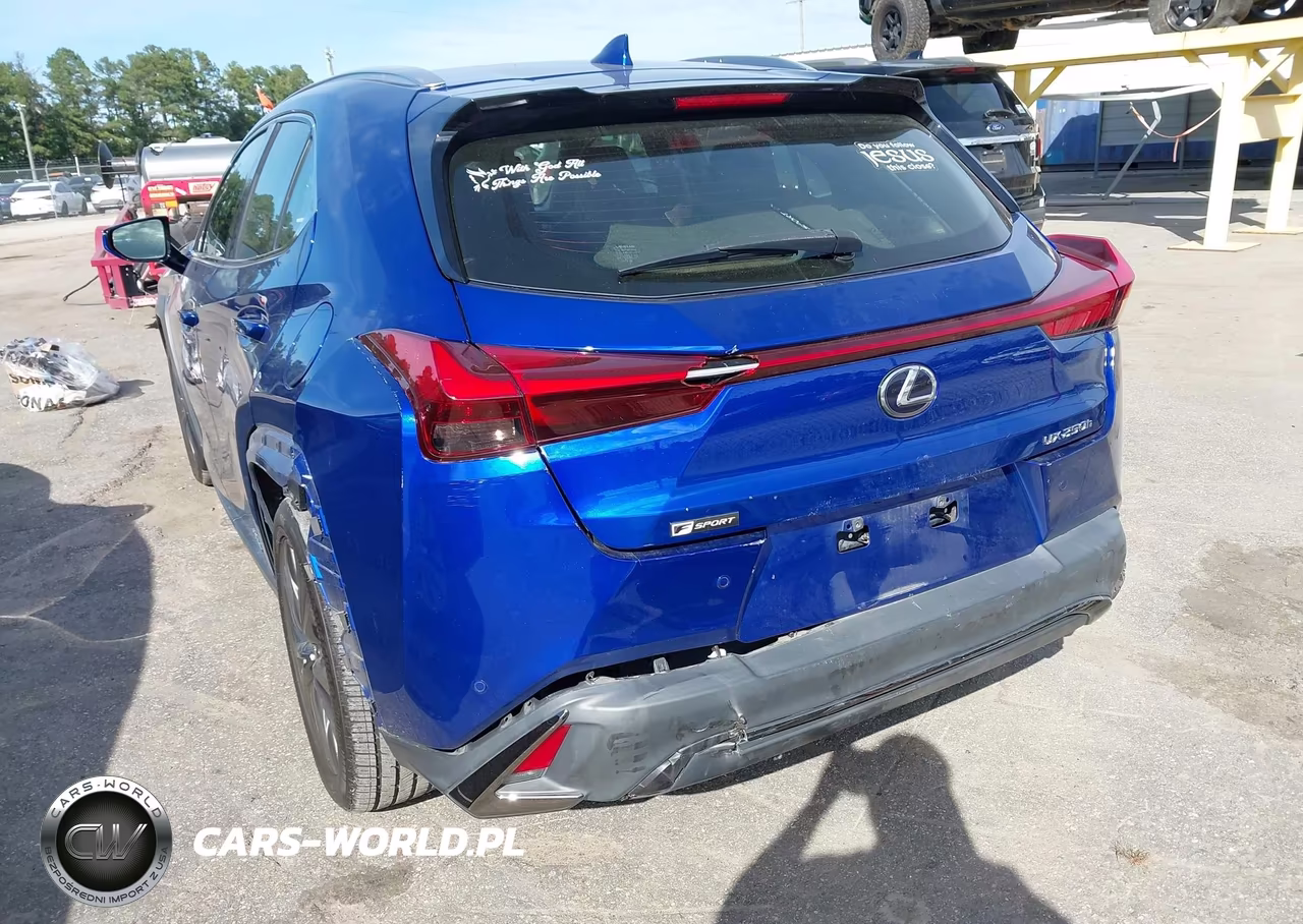 2021 Lexus Ux 250H F Sport VIN:JTHR9JBHXM2052623 - 6
