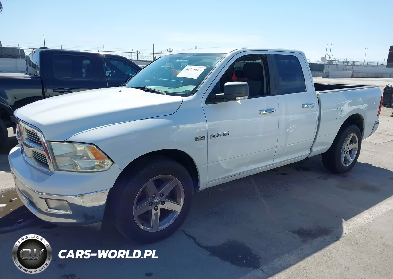 2010 Dodge Ram 1500 Slt-Sport-Trx VIN:1D7RB1GT9AS162471 - 2