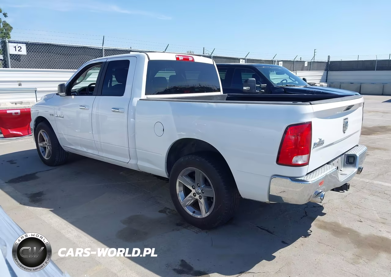 2010 Dodge Ram 1500 Slt-Sport-Trx VIN:1D7RB1GT9AS162471 - 3