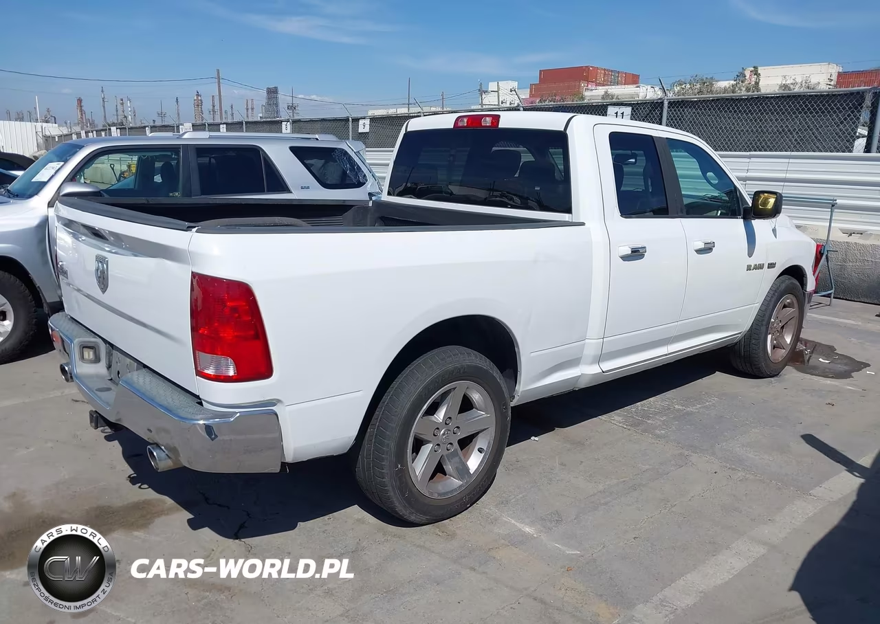 2010 Dodge Ram 1500 Slt-Sport-Trx VIN:1D7RB1GT9AS162471 - 4