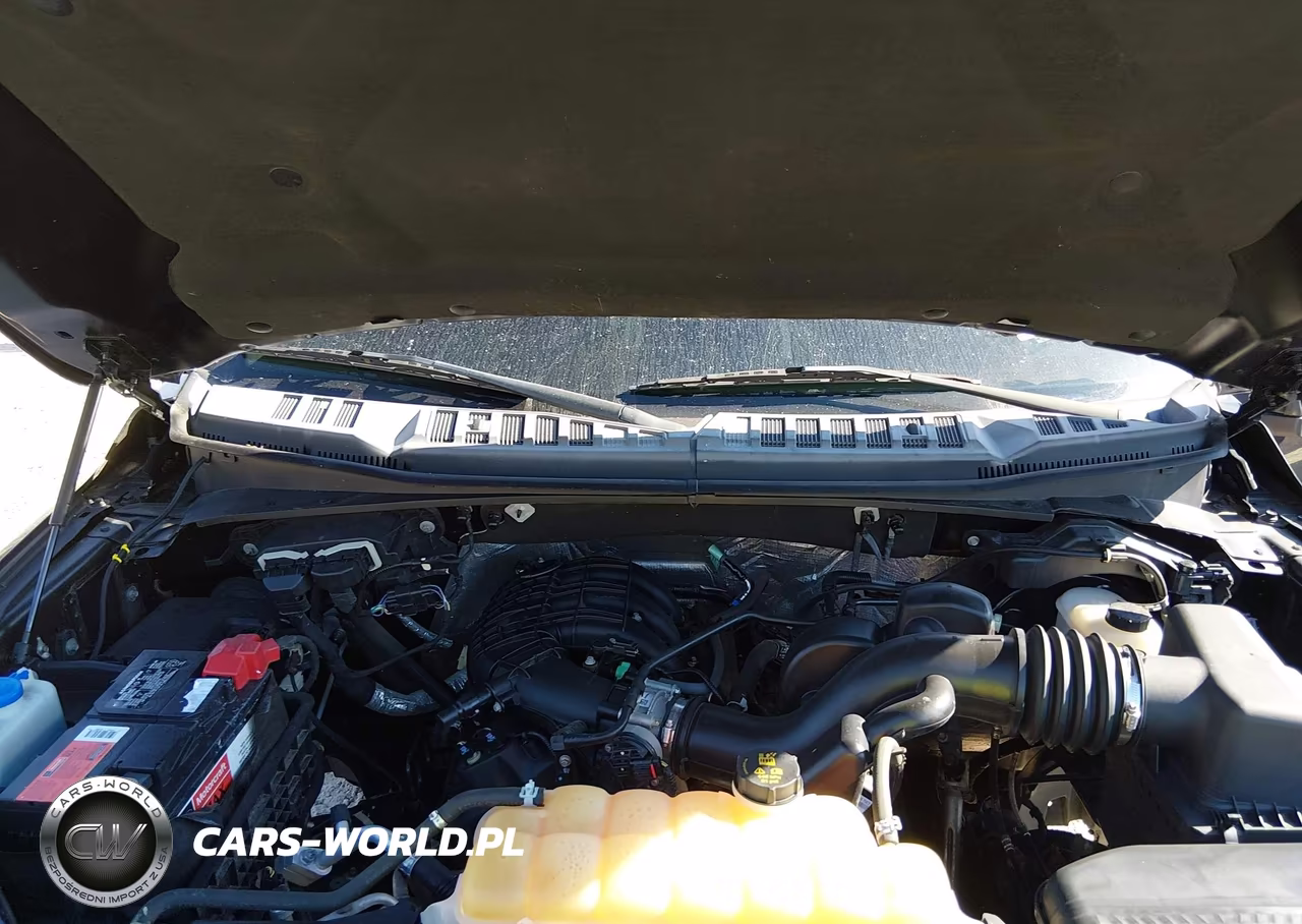 2015 Ford F-150 Xl VIN:1FTMF1E81FFA11955 - 10