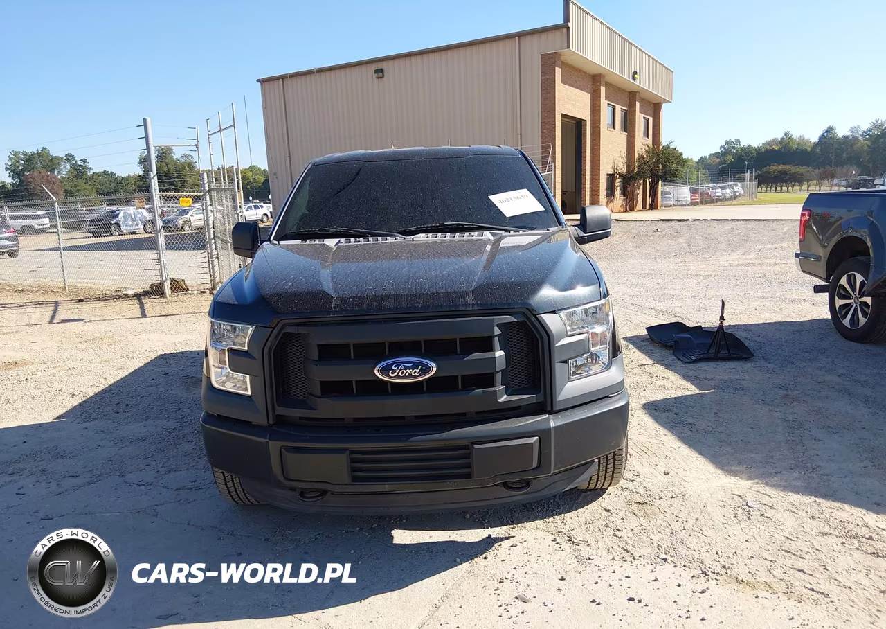 2015 Ford F-150 Xl VIN:1FTMF1E81FFA11955 - 12