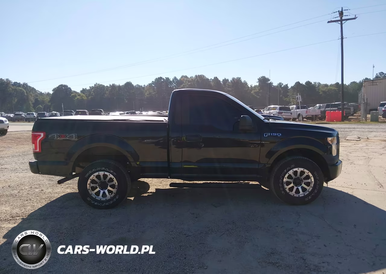 2015 Ford F-150 Xl VIN:1FTMF1E81FFA11955 - 13