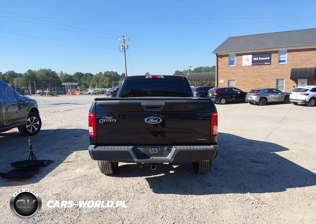 2015 Ford F-150 Xl VIN:1FTMF1E81FFA11955 - 16