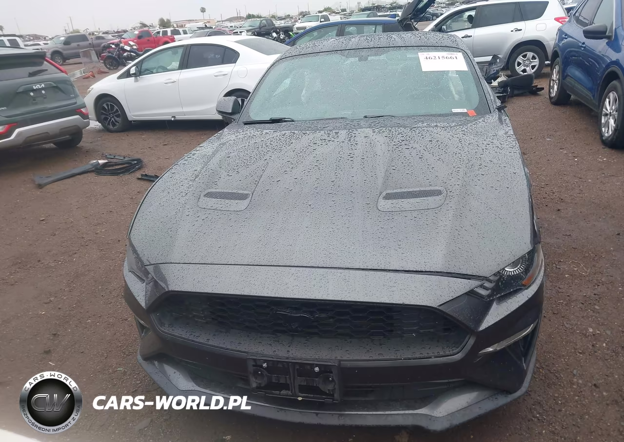 2020 Ford Mustang Ecoboost Premium Fastback VIN:1FA6P8TH8L5185966 - 12