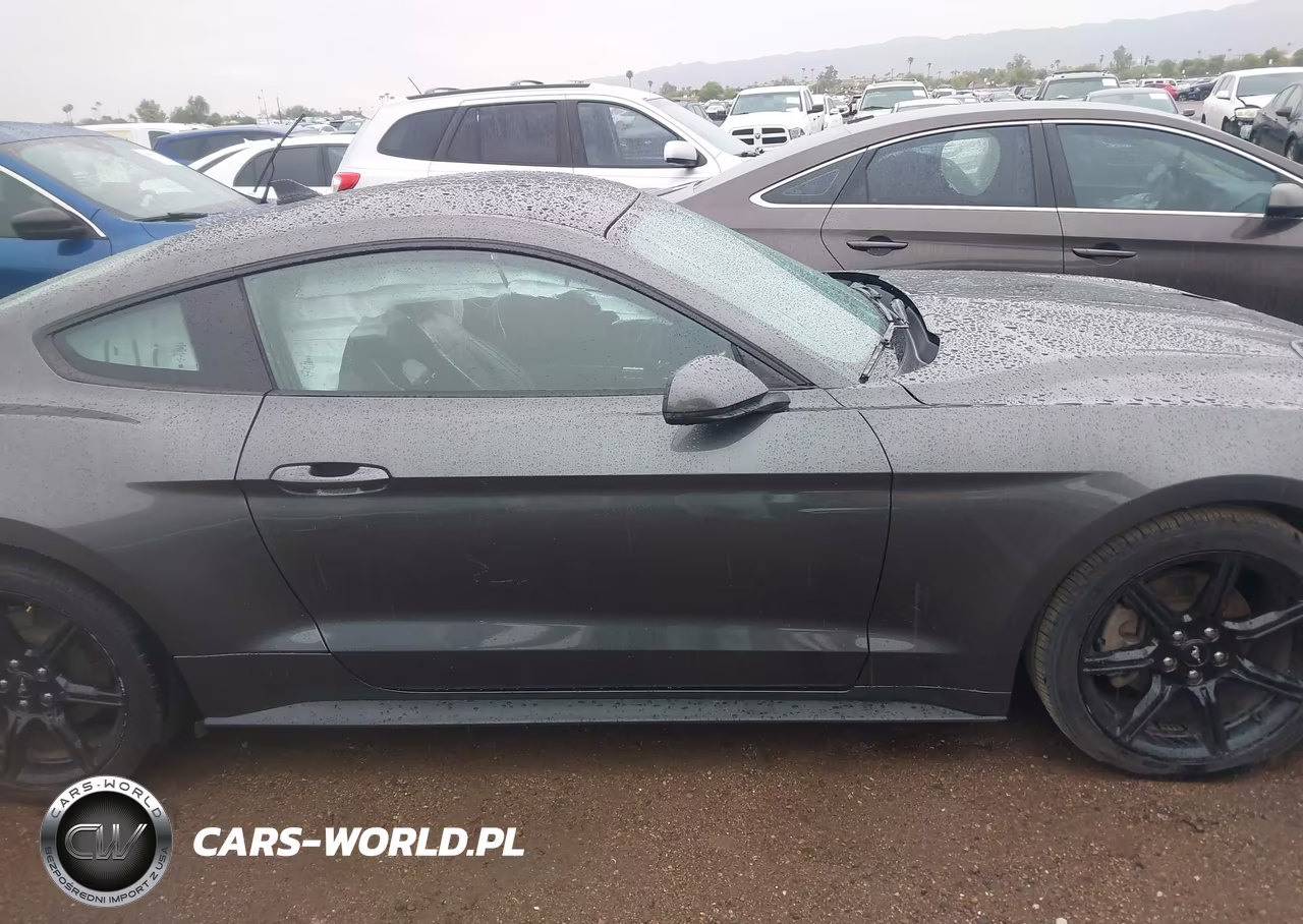 2020 Ford Mustang Ecoboost Premium Fastback VIN:1FA6P8TH8L5185966 - 13