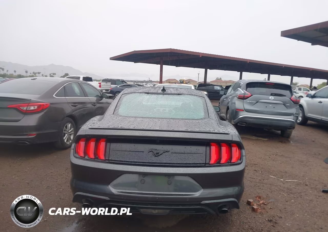 2020 Ford Mustang Ecoboost Premium Fastback VIN:1FA6P8TH8L5185966 - 16