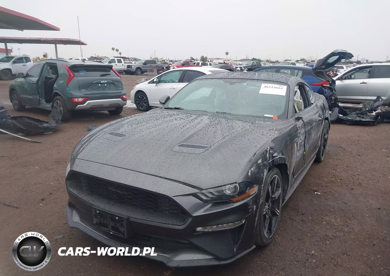 2020 Ford Mustang Ecoboost Premium Fastback VIN:1FA6P8TH8L5185966 - 2