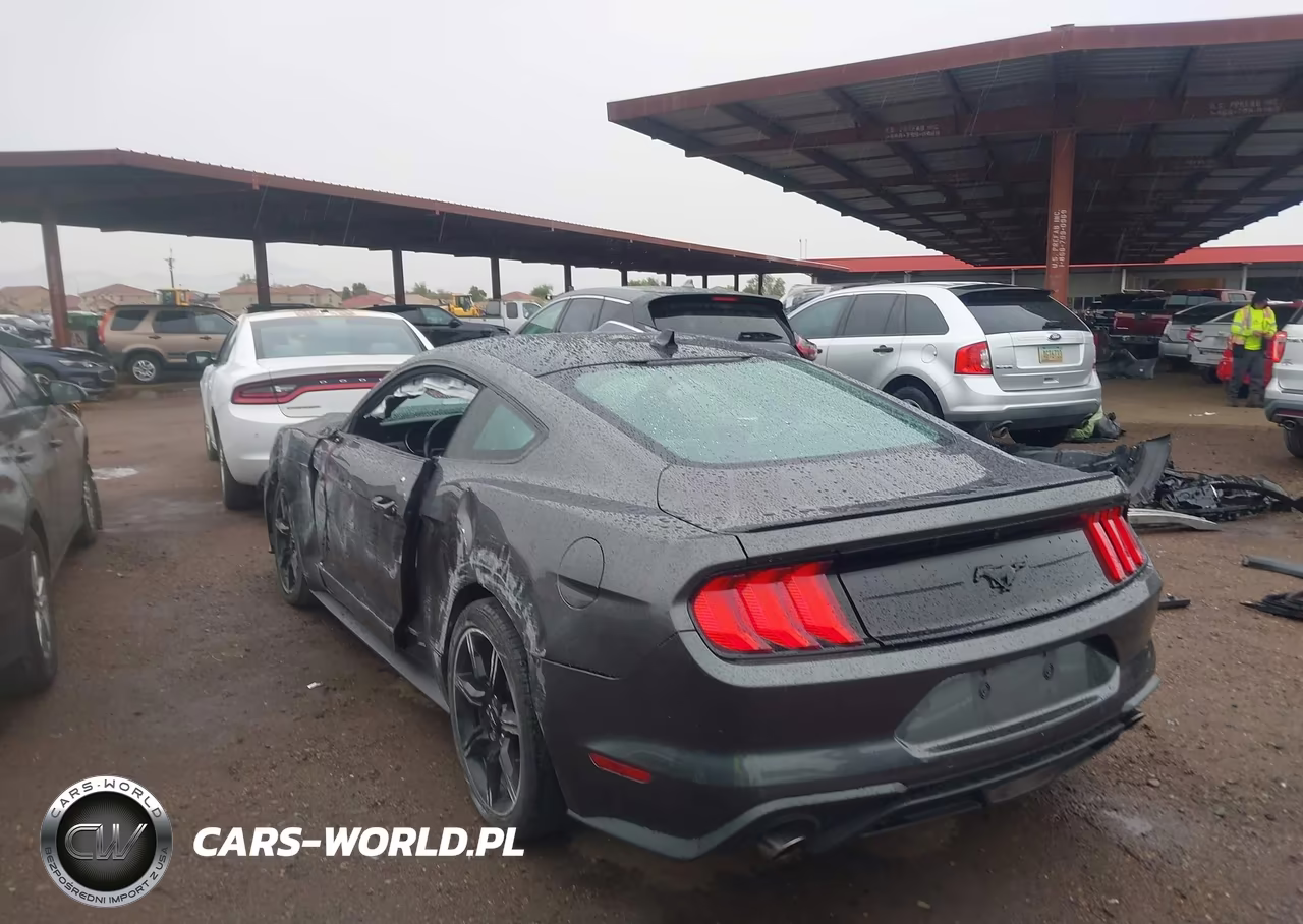 2020 Ford Mustang Ecoboost Premium Fastback VIN:1FA6P8TH8L5185966 - 3