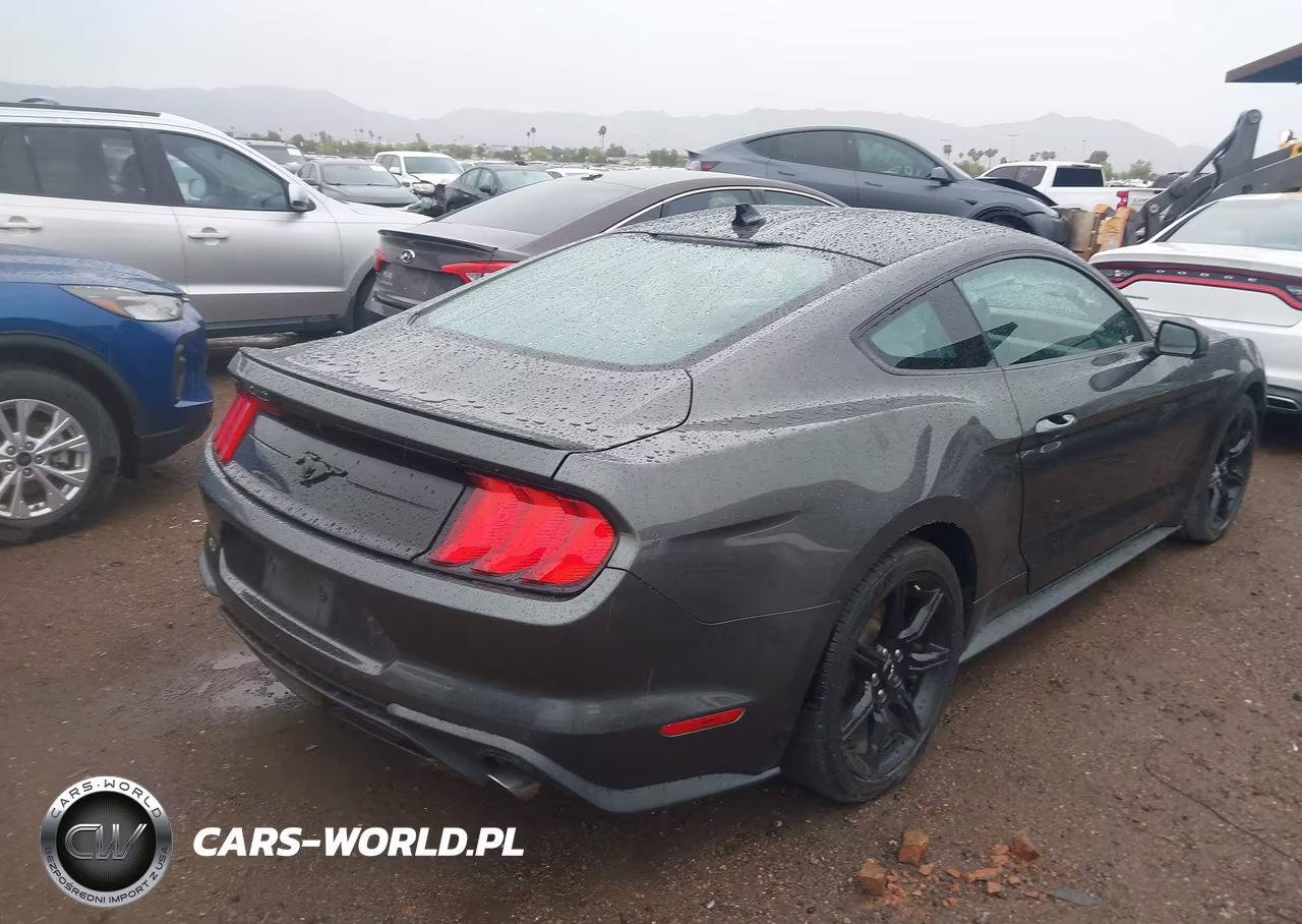 2020 Ford Mustang Ecoboost Premium Fastback VIN:1FA6P8TH8L5185966 - 4