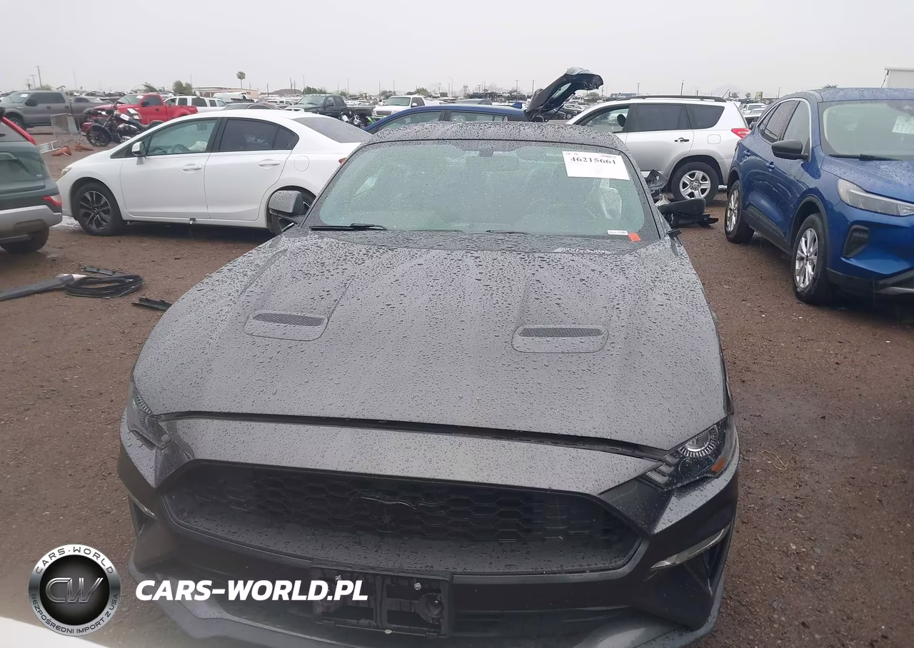 2020 Ford Mustang Ecoboost Premium Fastback VIN:1FA6P8TH8L5185966 - 6