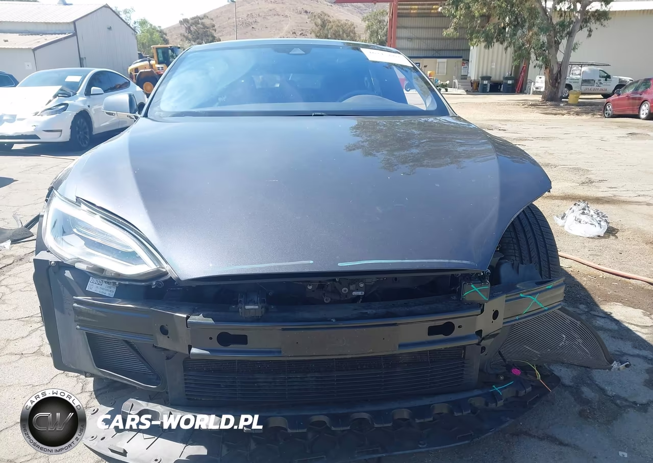 2016 Tesla Model S 90D-P100D-P85D-P90D VIN:5YJSA1E43GF142815 - 13