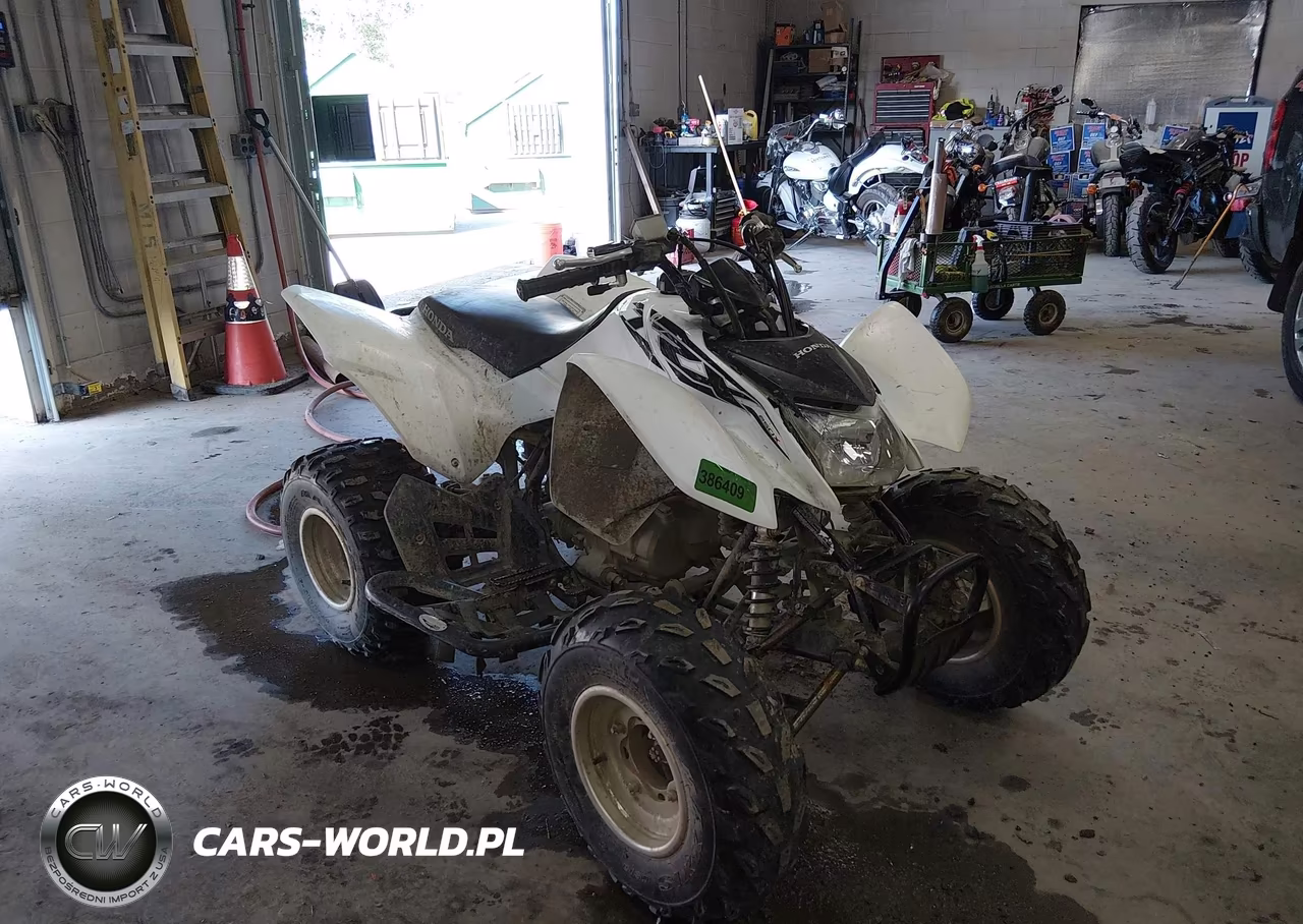2017 Honda Trx250 X – zdjęcie 1 z 13