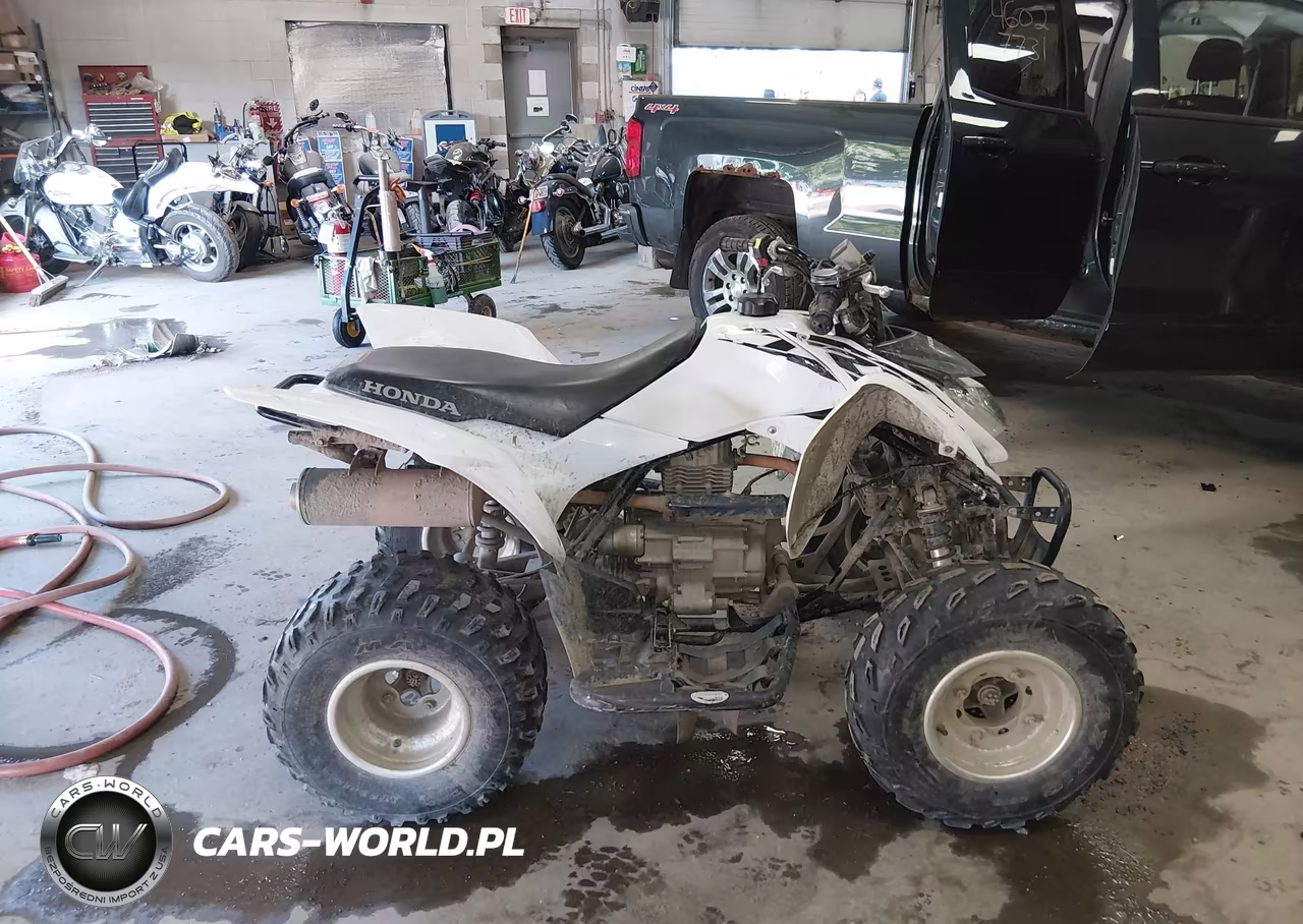 2017 Honda Trx250 X VIN:1HFTE2705H4601415 - 12