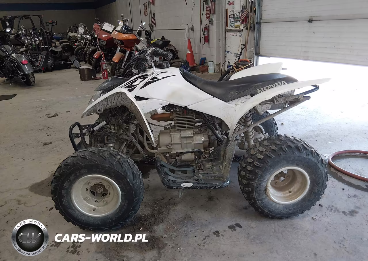 2017 Honda Trx250 X VIN:1HFTE2705H4601415 - 13
