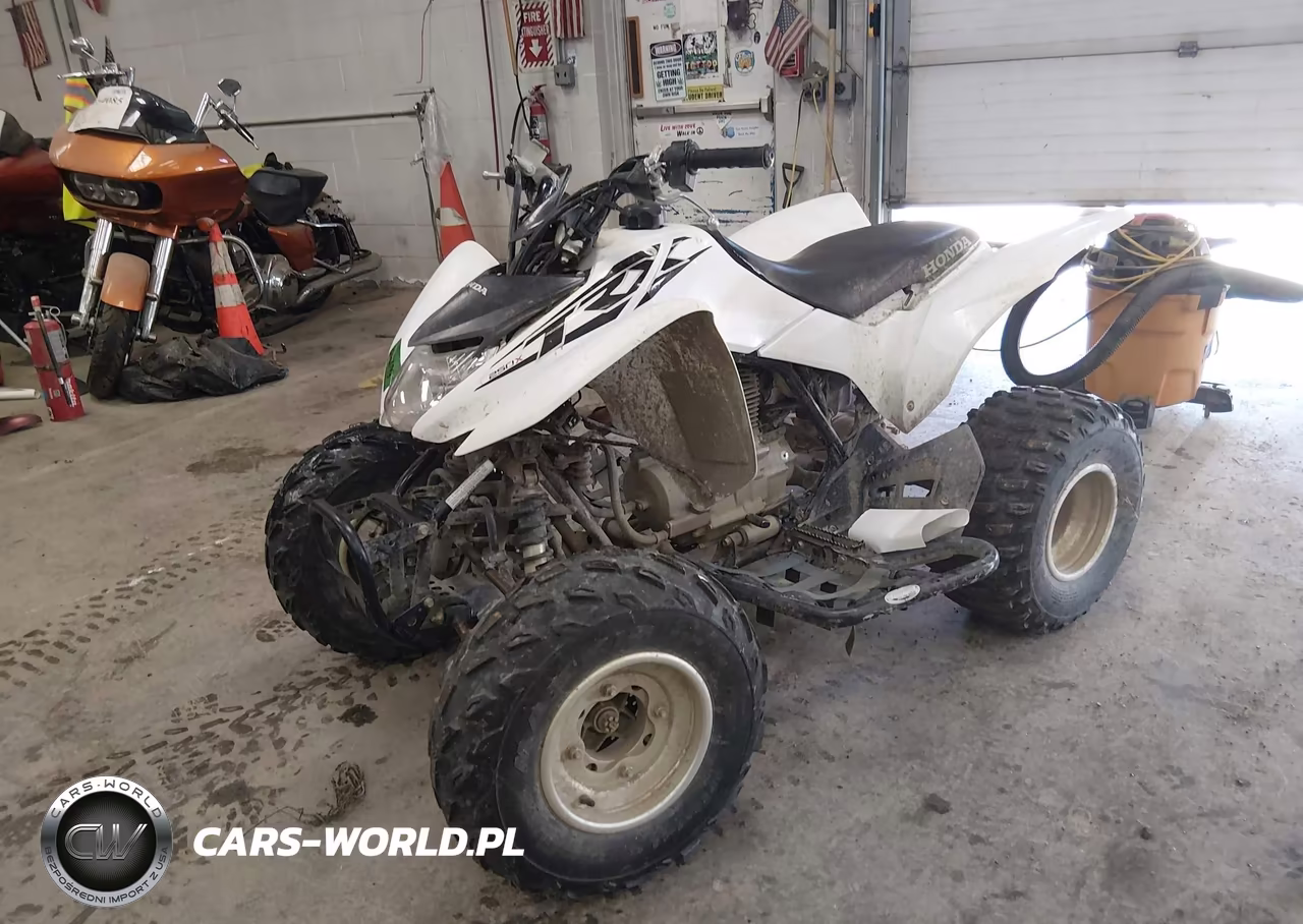 2017 Honda Trx250 X VIN:1HFTE2705H4601415 - 2