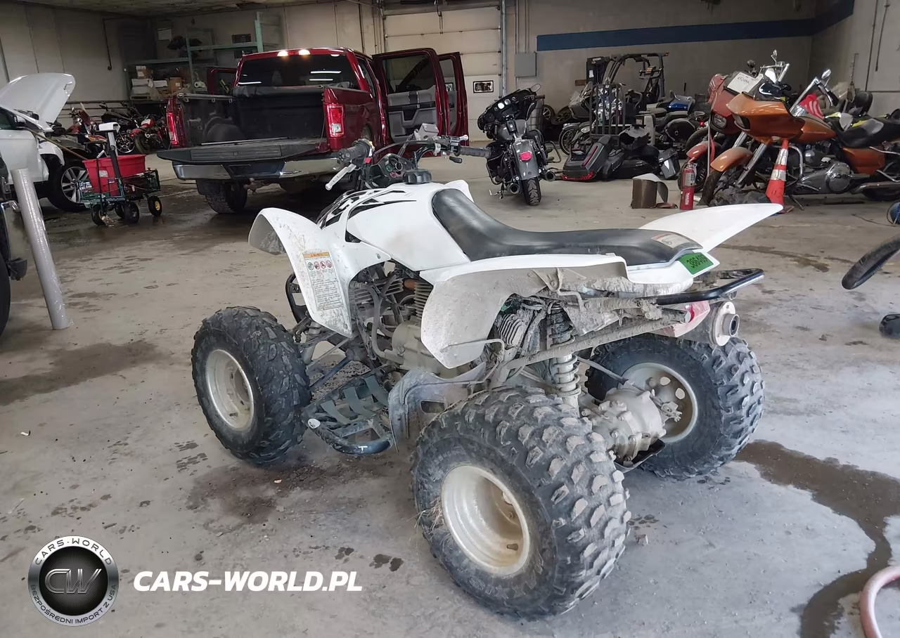 2017 Honda Trx250 X VIN:1HFTE2705H4601415 - 3