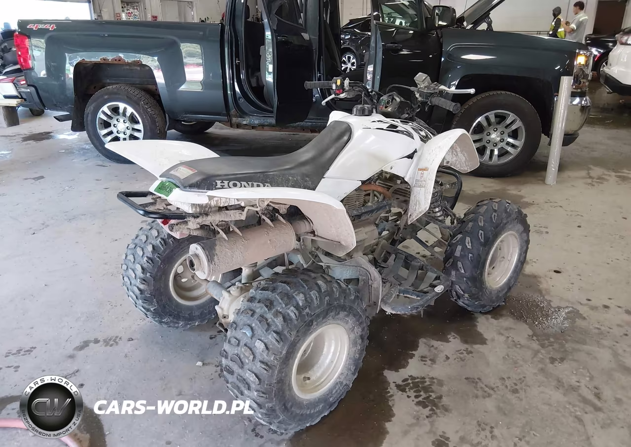 2017 Honda Trx250 X VIN:1HFTE2705H4601415 - 4