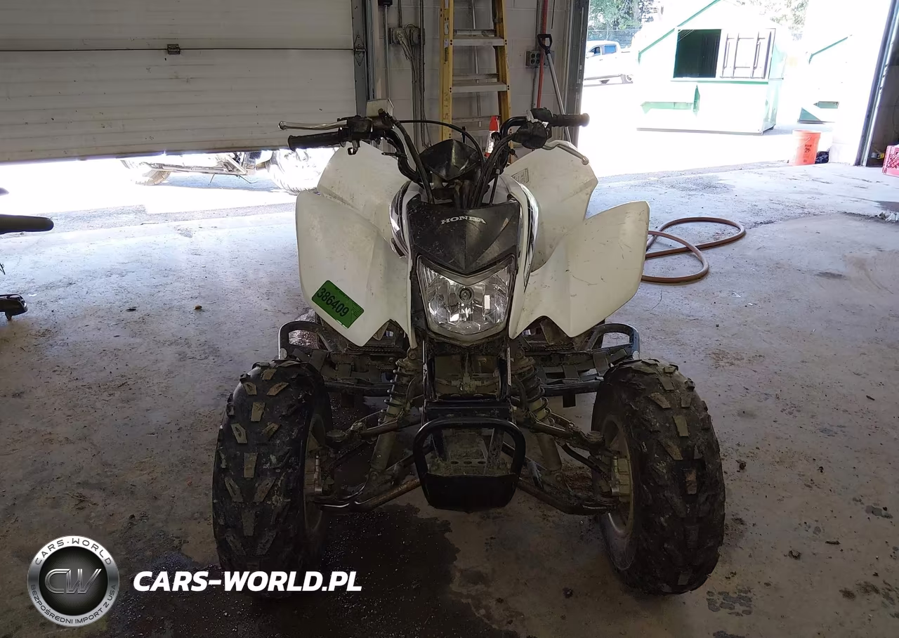2017 Honda Trx250 X VIN:1HFTE2705H4601415 - 5
