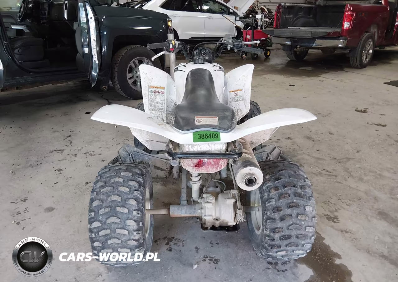 2017 Honda Trx250 X VIN:1HFTE2705H4601415 - 6