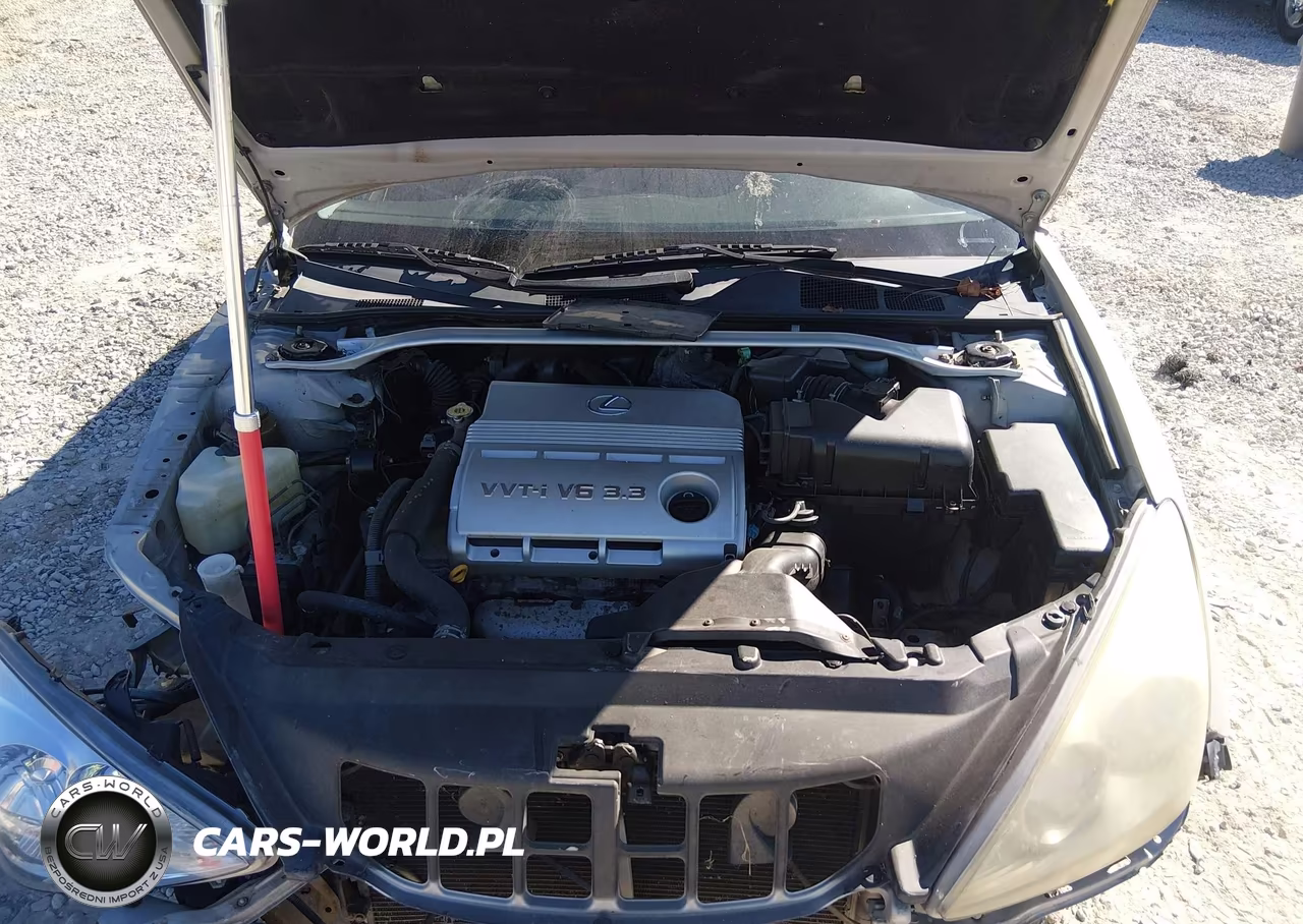 2004 Lexus Es 330 VIN:JTHBA30GX40011550 - 10