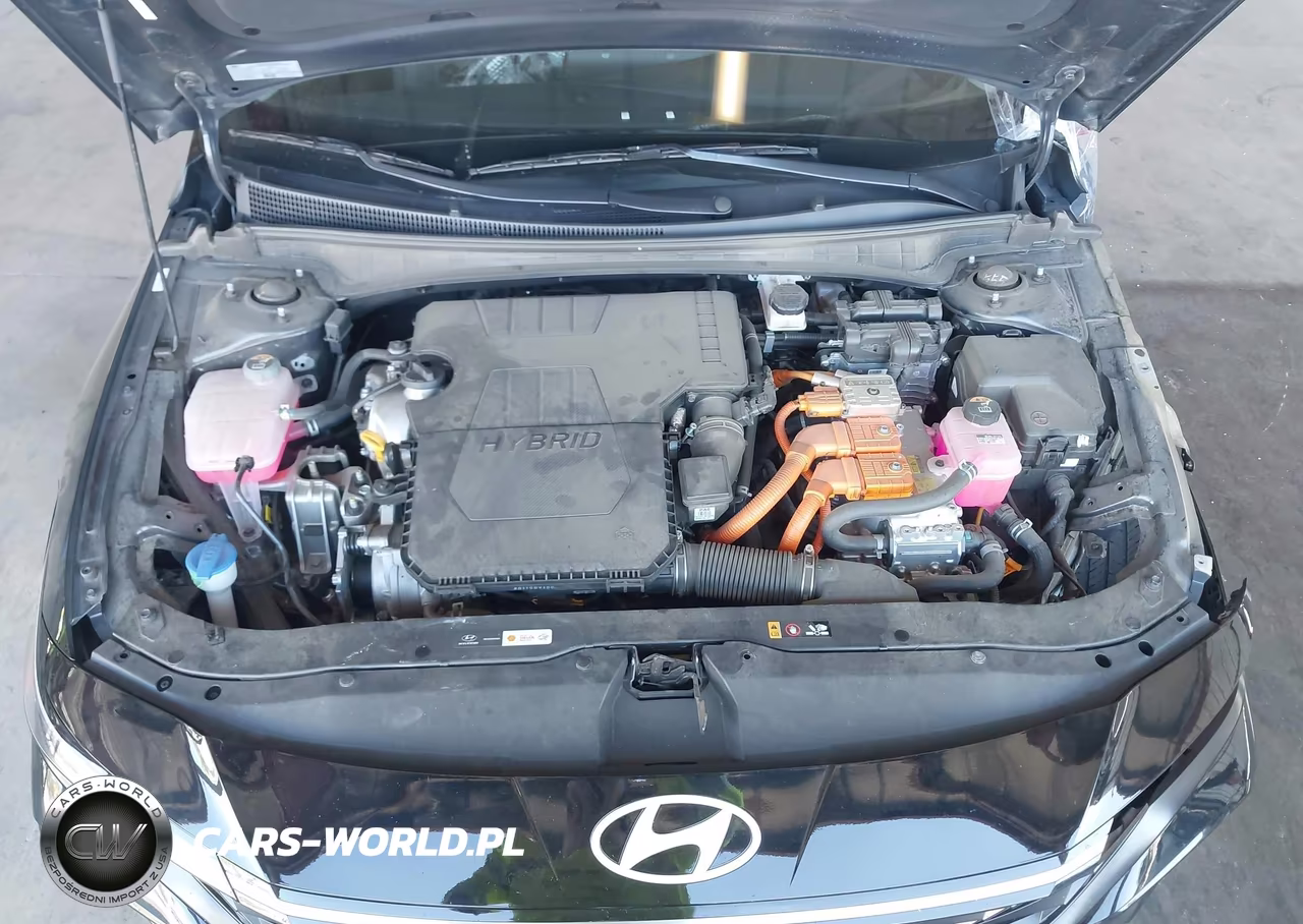 2025 Hyundai Elantra Hybrid Limited VIN:KMHLN4DJ3SU141855 - 10