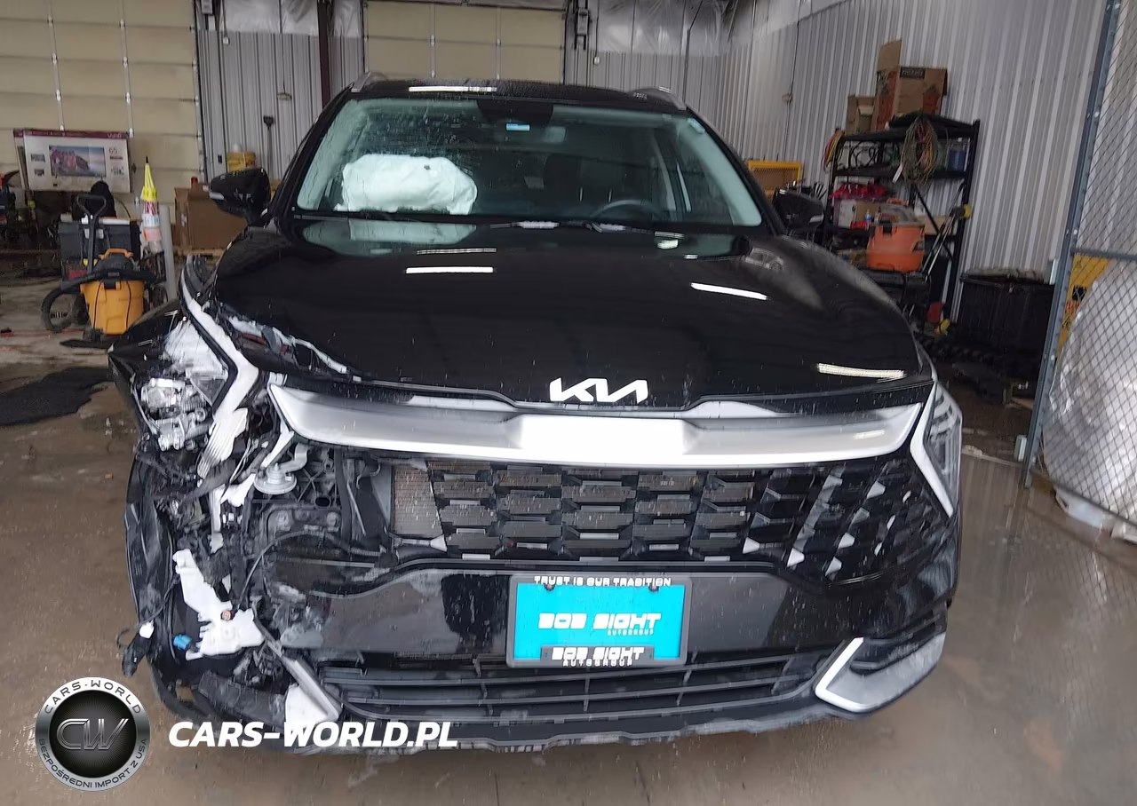 2024 Kia Sportage Ex VIN:5XYK3CDF4RG175293 - 12