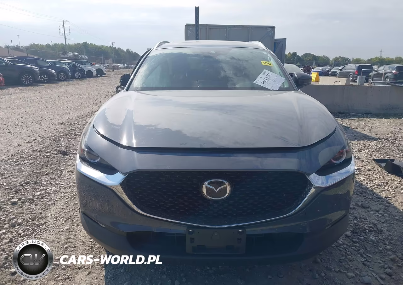 2022 Mazda Cx-30 Carbon Edition VIN:3MVDMBCL8NM405775 - 12