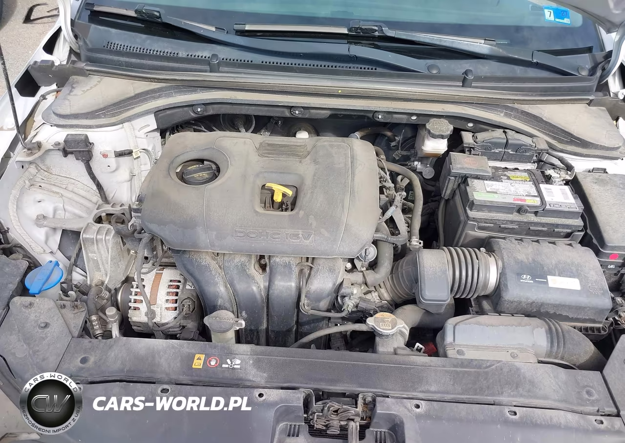 2019 Hyundai Elantra Sel VIN:KMHD84LF6KU877536 - 10