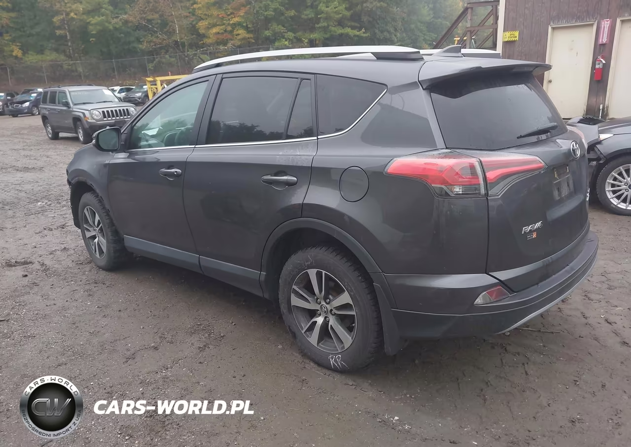 2018 Toyota Rav4 Xle VIN:2T3RFREV1JW833172 - 3