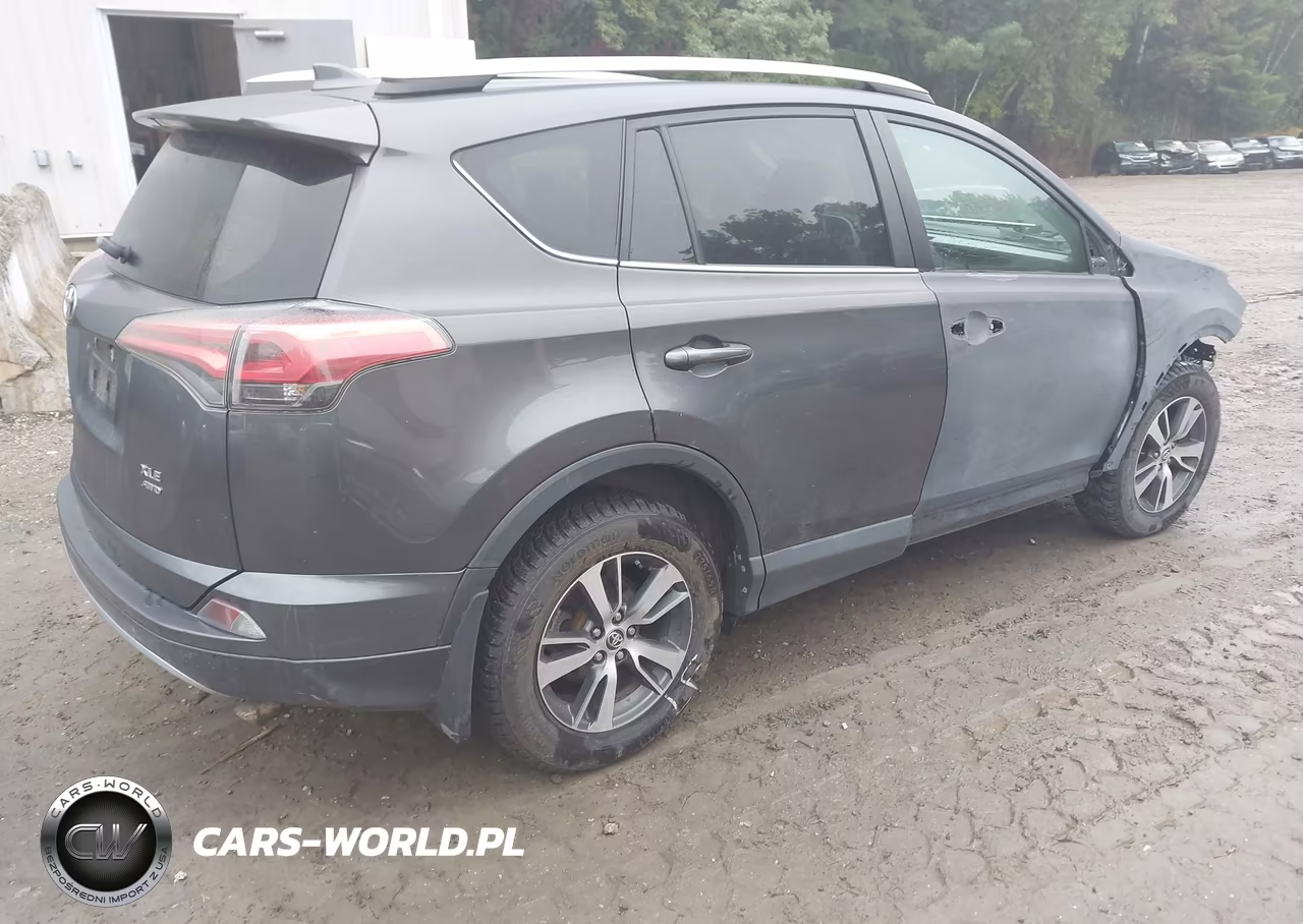 2018 Toyota Rav4 Xle VIN:2T3RFREV1JW833172 - 4