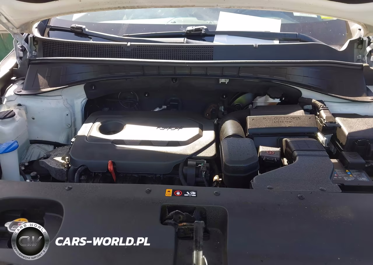 2019 Kia Sorento 2.4L Lx VIN:5XYPGDA3XKG535117 - 10