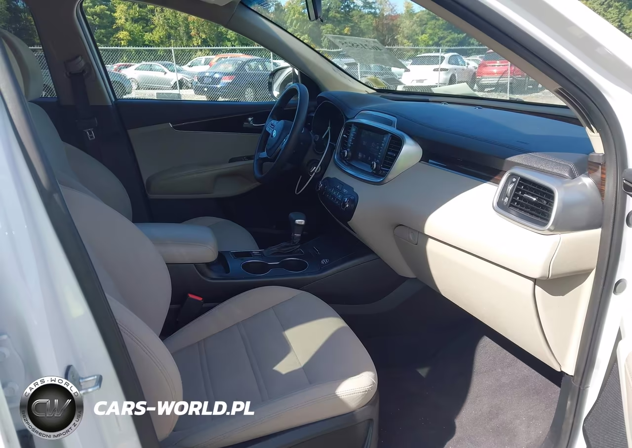 2019 Kia Sorento 2.4L Lx VIN:5XYPGDA3XKG535117 - 5