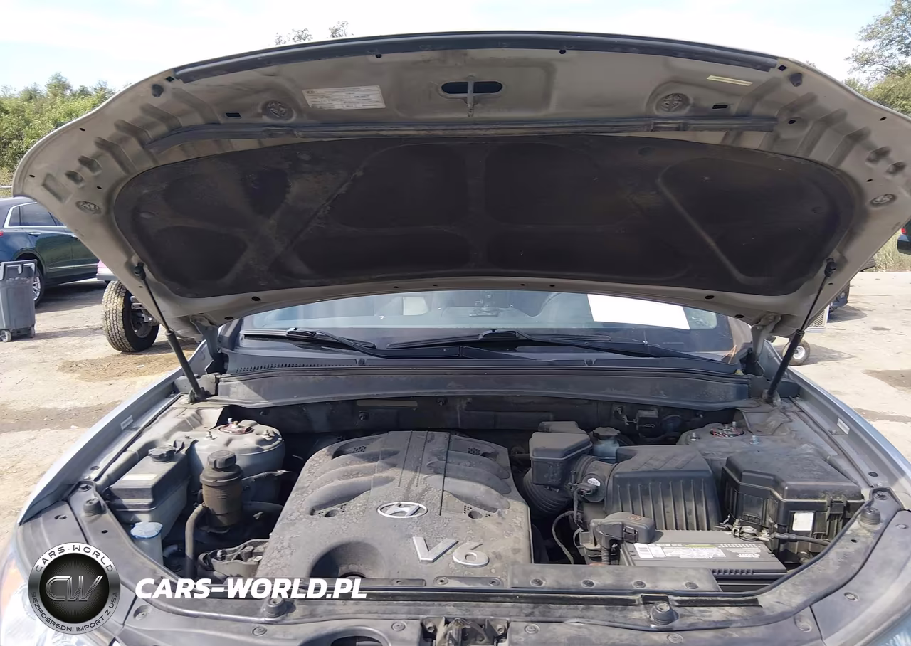 2009 Hyundai Santa Fe Limited VIN:5NMSH13E39H298121 - 10