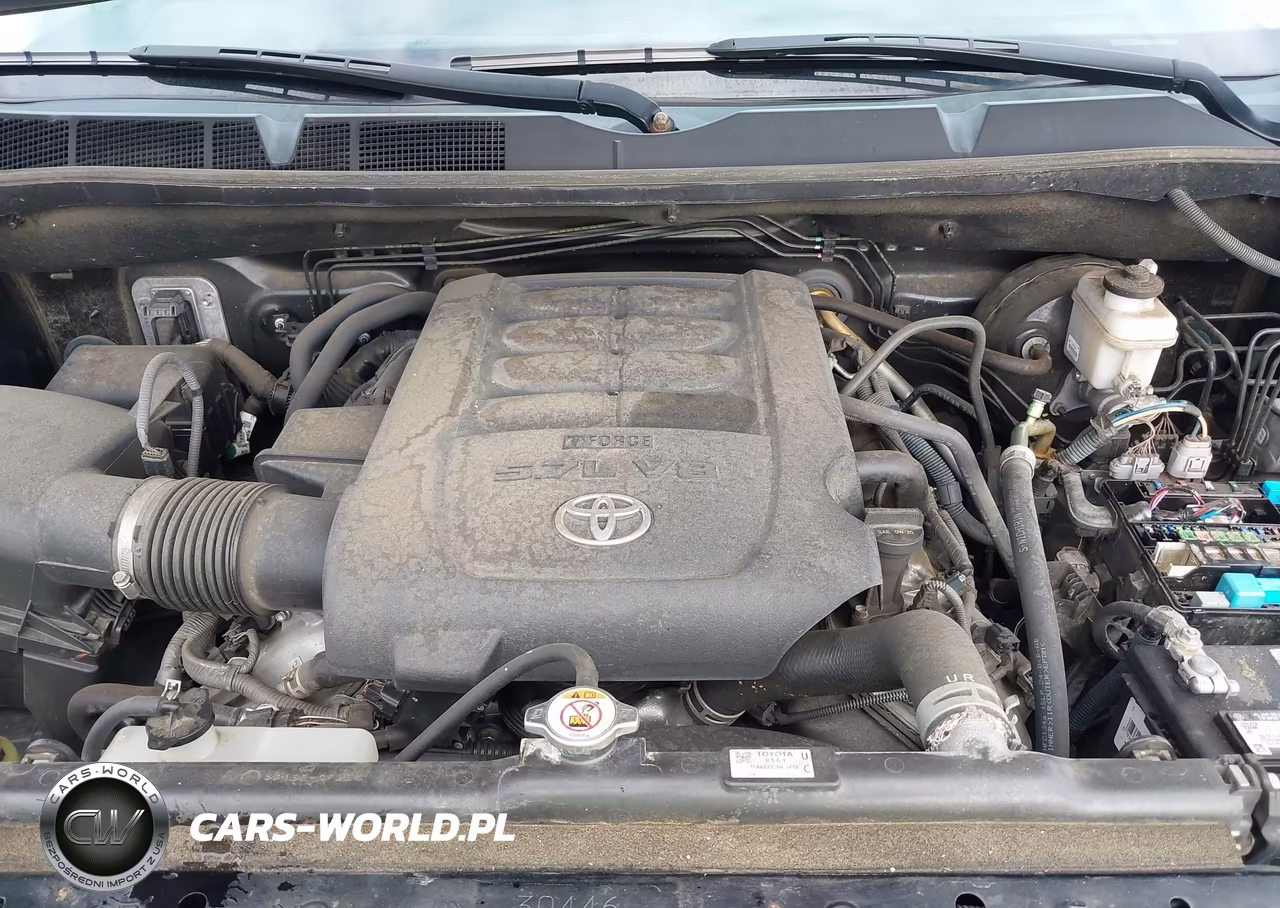 2019 Toyota Tundra Platinum 5.7L V8 VIN:5TFAY5F15KX790500 - 10