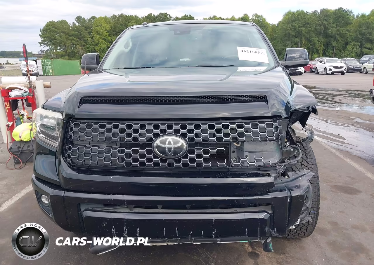 2019 Toyota Tundra Platinum 5.7L V8 VIN:5TFAY5F15KX790500 - 12