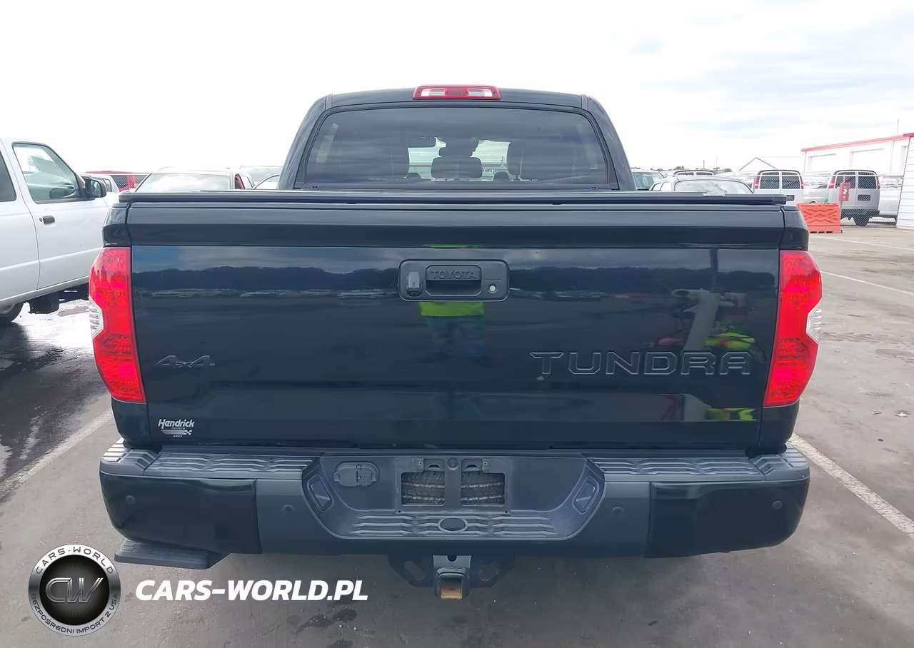 2019 Toyota Tundra Platinum 5.7L V8 VIN:5TFAY5F15KX790500 - 16
