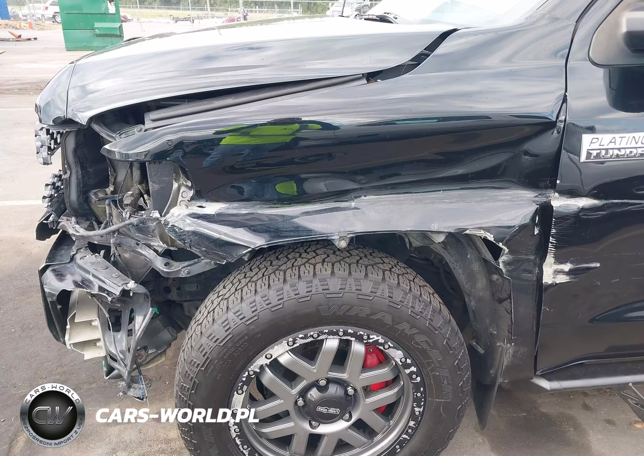 2019 Toyota Tundra Platinum 5.7L V8 VIN:5TFAY5F15KX790500 - 17