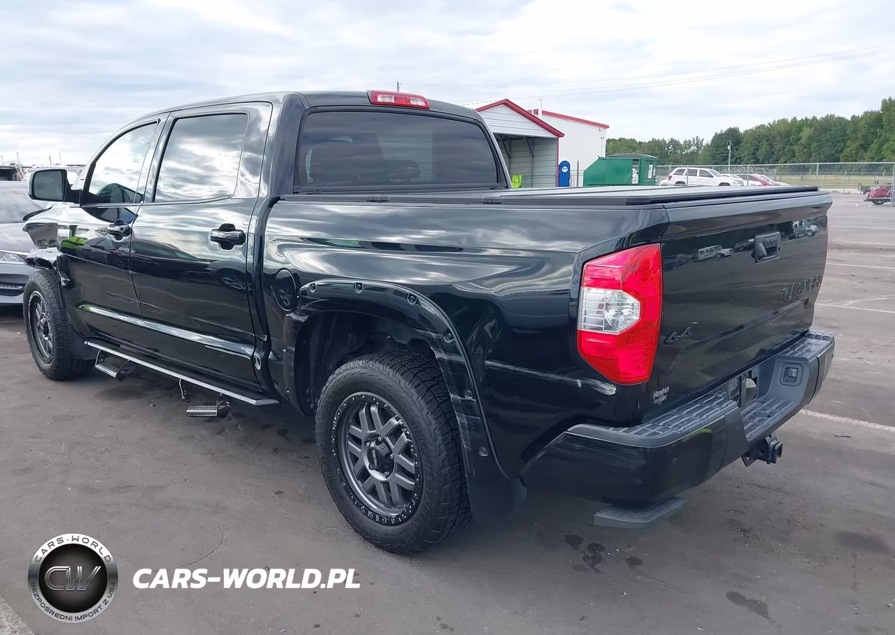 2019 Toyota Tundra Platinum 5.7L V8 VIN:5TFAY5F15KX790500 - 3