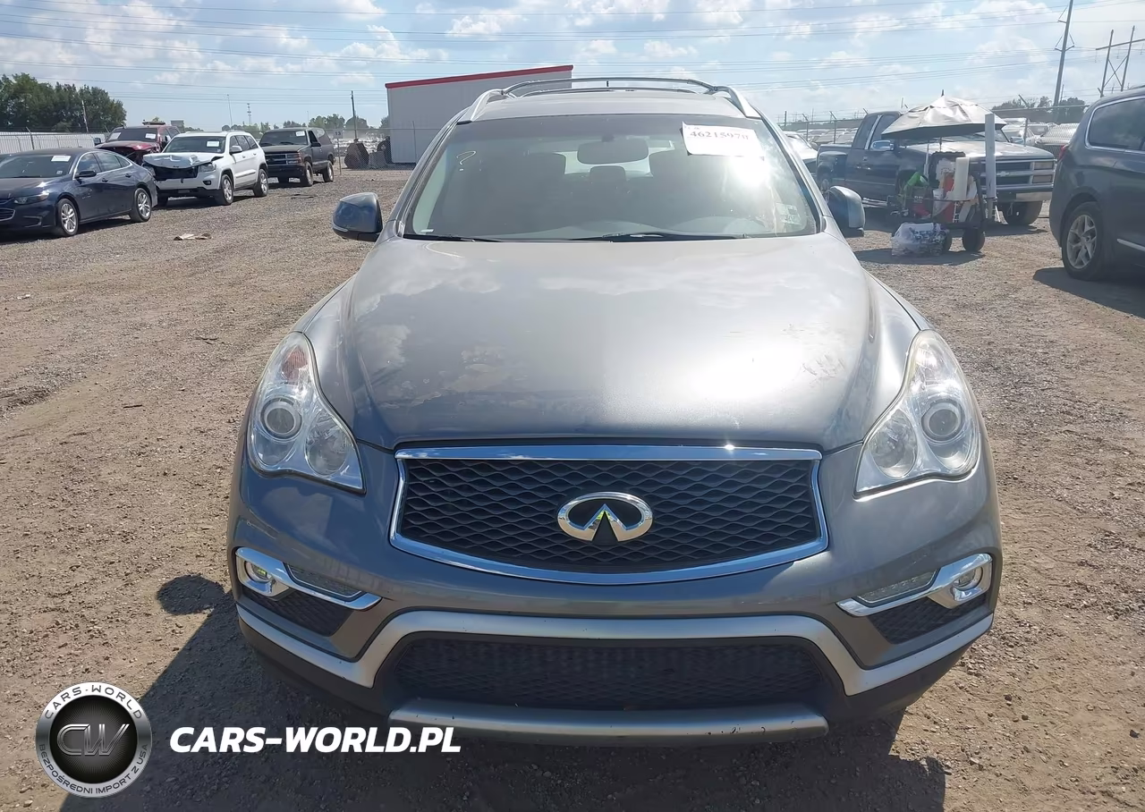 2017 Infiniti Qx50 VIN:JN1BJ0RP4HM387844 - 11