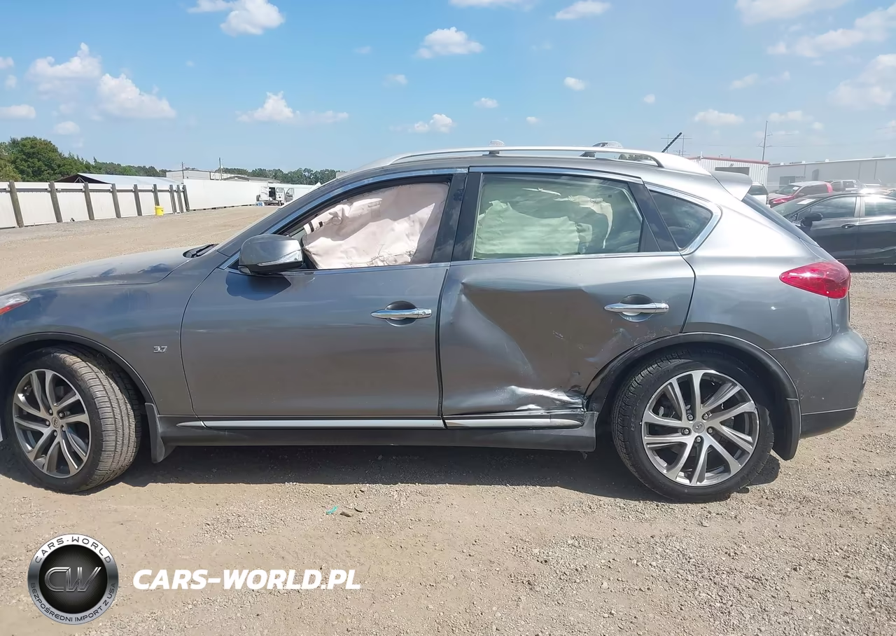 2017 Infiniti Qx50 VIN:JN1BJ0RP4HM387844 - 13