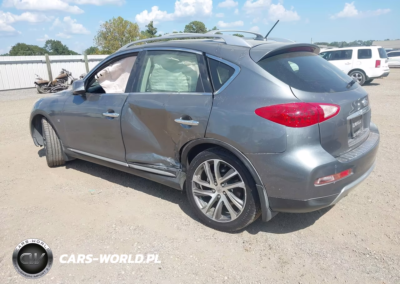 2017 Infiniti Qx50 VIN:JN1BJ0RP4HM387844 - 3