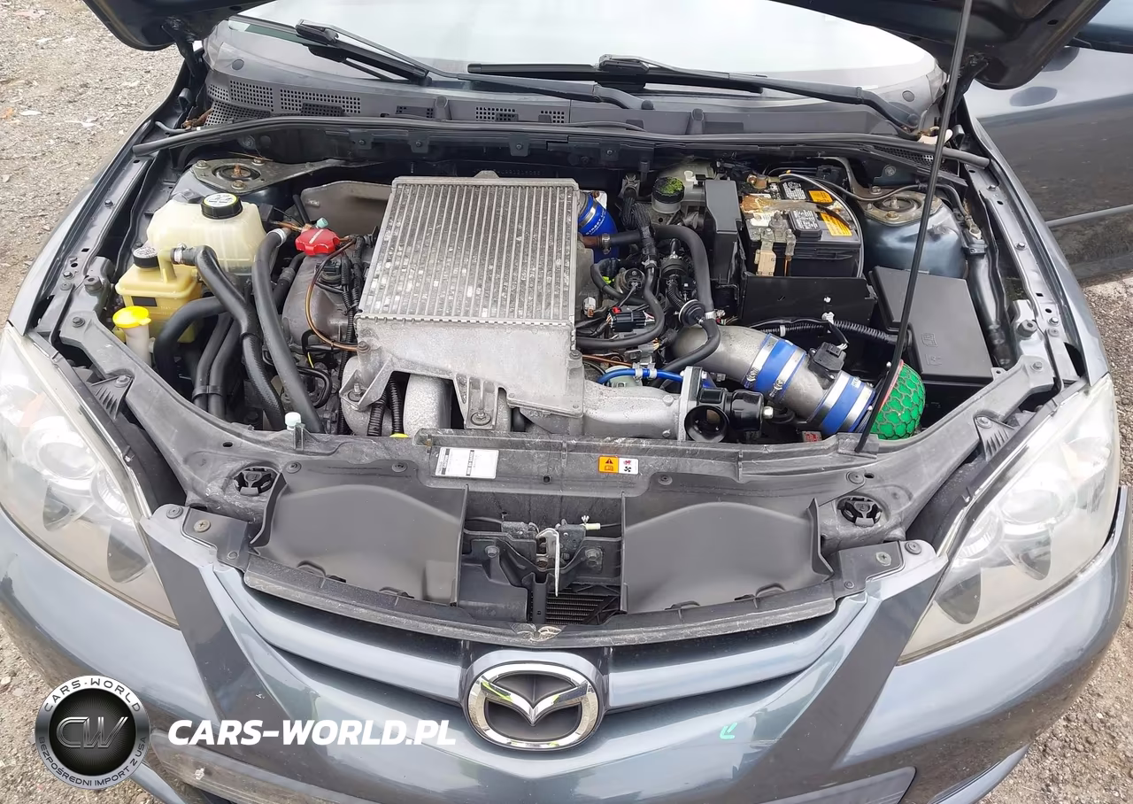 2009 Mazda Mazdaspeed3 Grand Touring VIN:JM1BK34L991218065 - 10